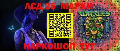 гидра Будённовск